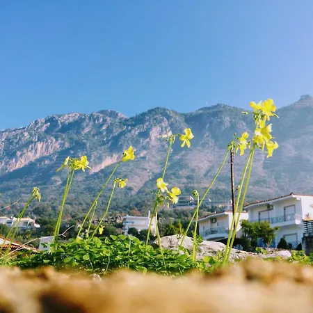 Semiramis With Pool * カラマタ