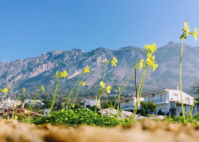 Semiramis With Pool * Kalamata